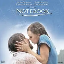 The Notebook